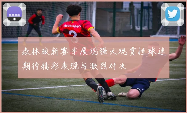 森林狼新赛季展现强大观赏性球迷期待精彩表现与激烈对决
